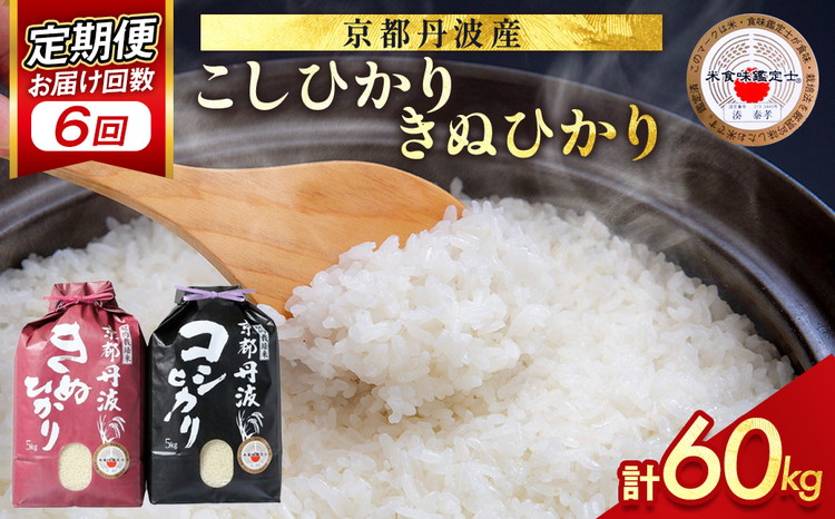 【9月より新米】【定期便】米 京都丹波米 10kg(こしひかり5kg・きぬひかり5kg)×6回 計60kg◇◆◇ 6ヶ月 白米 6回定期便 コシヒカリ・キヌヒカリ 各5kg 米 精米したてをお届け
