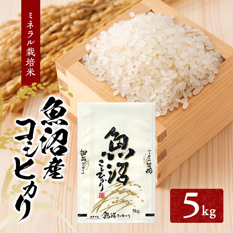 【ふるさと納税】[令和7年産]魚沼産コシヒカリ ミネラル栽培米（精米）5kg　お届け：寄附入金確認後、約2週間～1ヶ月ほどでお届け