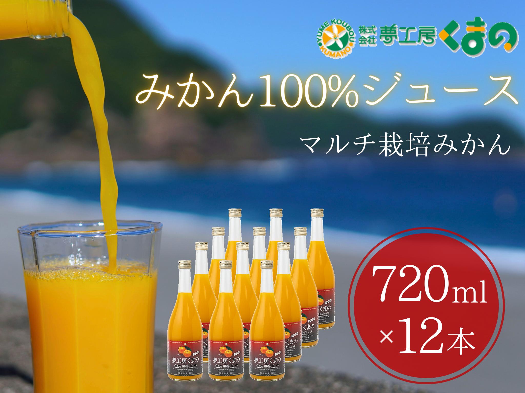 
            糖度12度以上【 マルチ栽培 みかん ストレートジュース 12本 】720ml × 12本 段ボール箱 温州 みかん 100% オレンジジュース ご自宅用 子供 三重県 熊野市【kmkn0078】
          