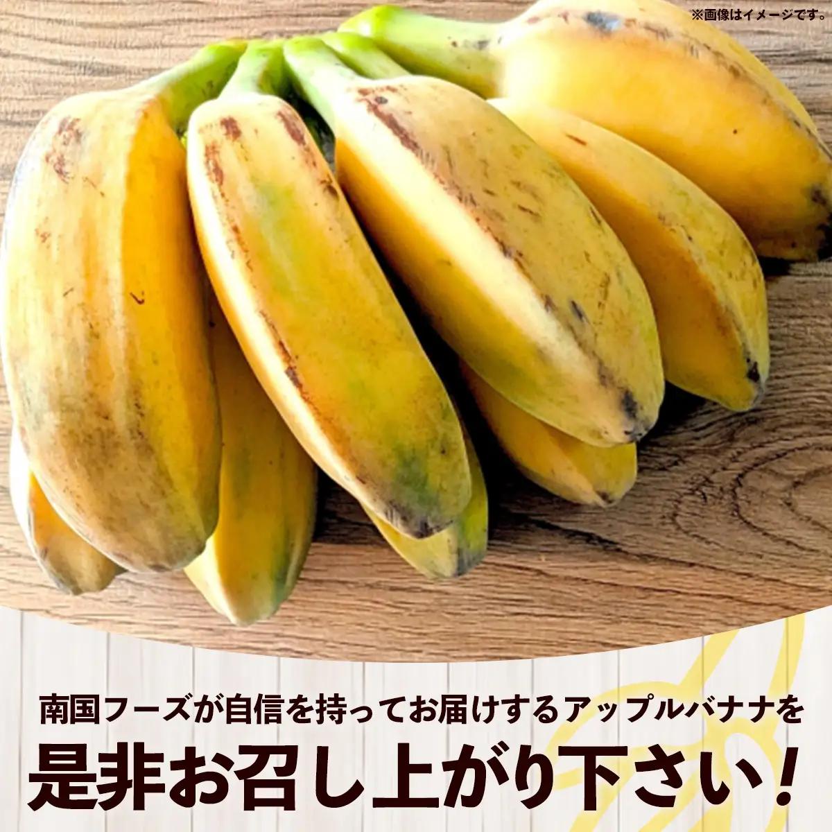 【特別提供中】 国産 希少種！南国フーズのアップルバナナ 約5kg - ばなな 小ぶり 沖縄県産 産地直送 朝食 おすすめ 八重瀬町【価格改定】