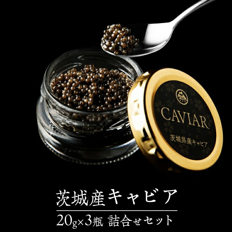 【ふるさと納税】 《12/24入金確認分まで年内配送》 キャビア 詰め合わせ セット 20g×3個 キャビア 高級食材 記念日 誕生日 世界三大珍味 国産キャビア 茨城県産 茨城