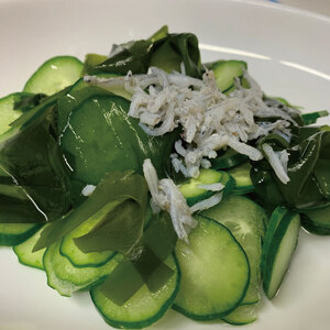 生わかめ （145g×6袋） 塩蔵わかめ 塩蔵わかめ 塩蔵わかめ 塩蔵わかめ 塩蔵わかめ