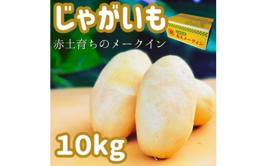 【Lサイズ】じゃがいも（赤土メークイン）10kg