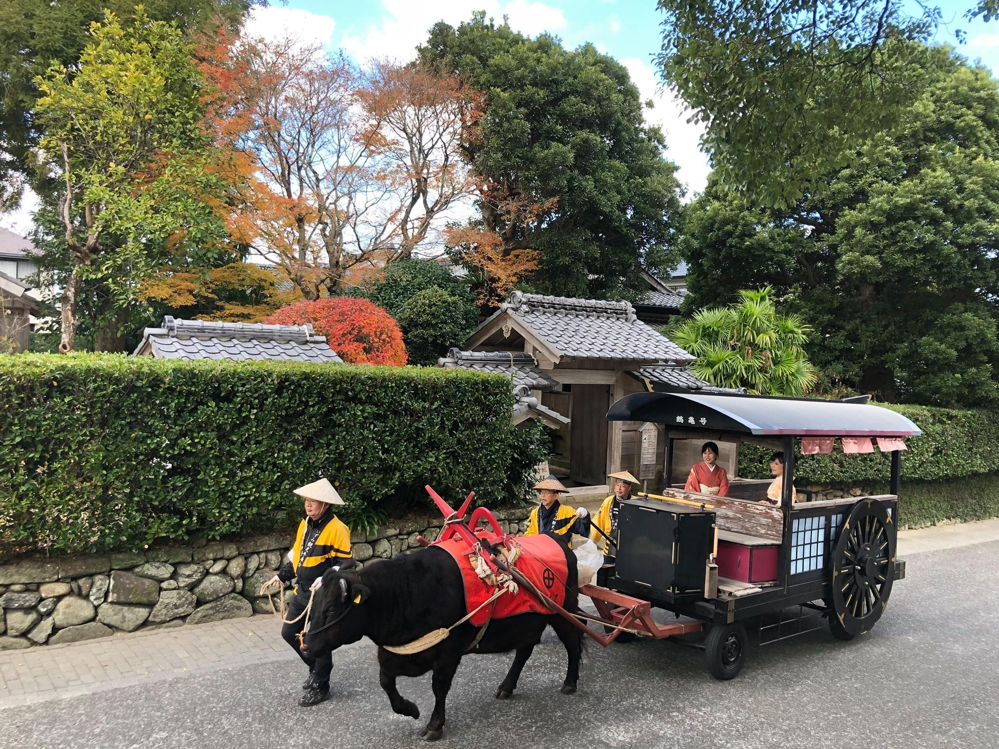 【5-3　特定非営利活動法人　いずみ観光牛車会】
日本で唯一の観光牛車，鶴と歴史の街出水をご案内