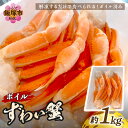 【ふるさと納税】★レビューキャンペーン実施中★ボイルずわいがに(約1kg) 魚介類 カニ ズワイガニ ボイル 1kg 1キロ 【B4-029】【1204レビューCP】