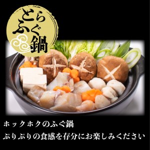 とらふぐ 刺身 鍋 真ふぐ 一汐干し 炊き込み ご飯 セット 2人前 冷凍 フグセット  AU