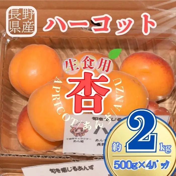 【2027年先行予約】生食用あんずハーコット2kg（約500g×4パック）| あんず