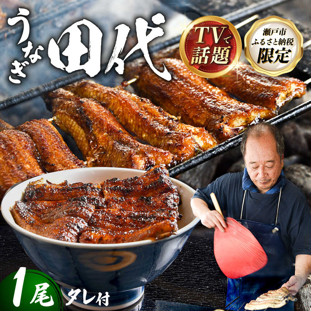【ふるさと納税】【TVで話題沸騰！】 炭火焼き 国産うなぎ 蒲焼 1尾 / 取り寄せ 田代 うなぎ 愛知県 瀬戸市 尾張瀬戸 / 瀬戸市 / うなぎ田代[BBCA001]