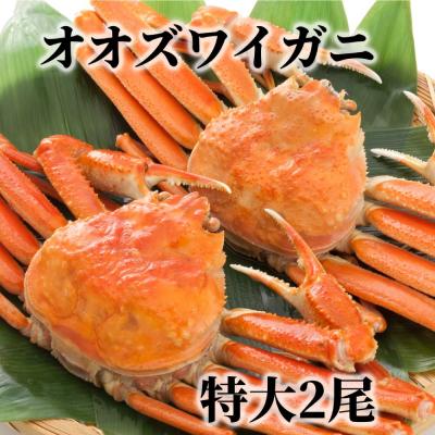 ふるさと納税 紋別市 北海道産　特大ボイルオオズワイガニ姿　2尾　計1.5kg内外
