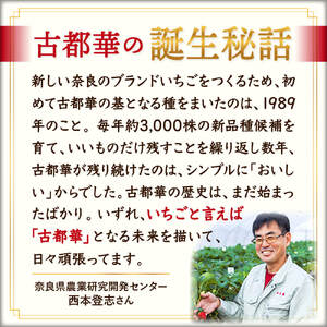 【数量限定】奈良のプレミアム苺「古都華」2024年1月以降発送　大粒 苺 いちご 果物 古都華 大粒 苺 いちご 果物　古都華　大粒 苺 いちご 果物 古都華 大粒 苺 いちご 果物 古都華 大粒 苺