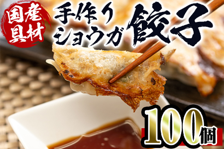 i393 国産豚肉使用！手作りショウガ餃子100個セット(10個×10パック たれ付き）具材は全て安心安全な国産！にんにく不使用！ビールのお供に相性抜群！【スーパーよしだ】