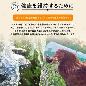 定期便 平飼い有精卵 滋賀竜王卵 20個×2ヵ月