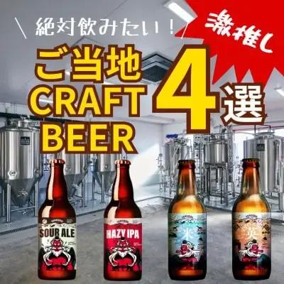クラフトビール TENGOOD BEER　同一銘柄12本セット テングビール