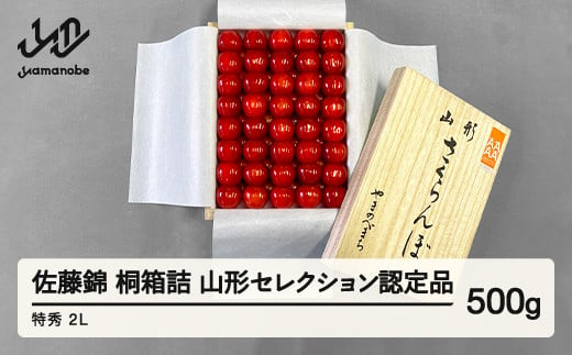 《先行予約》2025年 山形県産 さくらんぼ 佐藤錦 桐箱詰 500g 特秀 2L 山形セレクション認定品 サクランボ フルーツ F21A-334