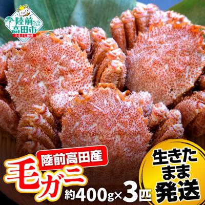 ふるさと納税 陸前高田市 生きたまま発送 毛ガニ 約400g×3匹 陸前高田市産 かに カニ 蟹 活毛ガニ 新鮮 濃厚 天然