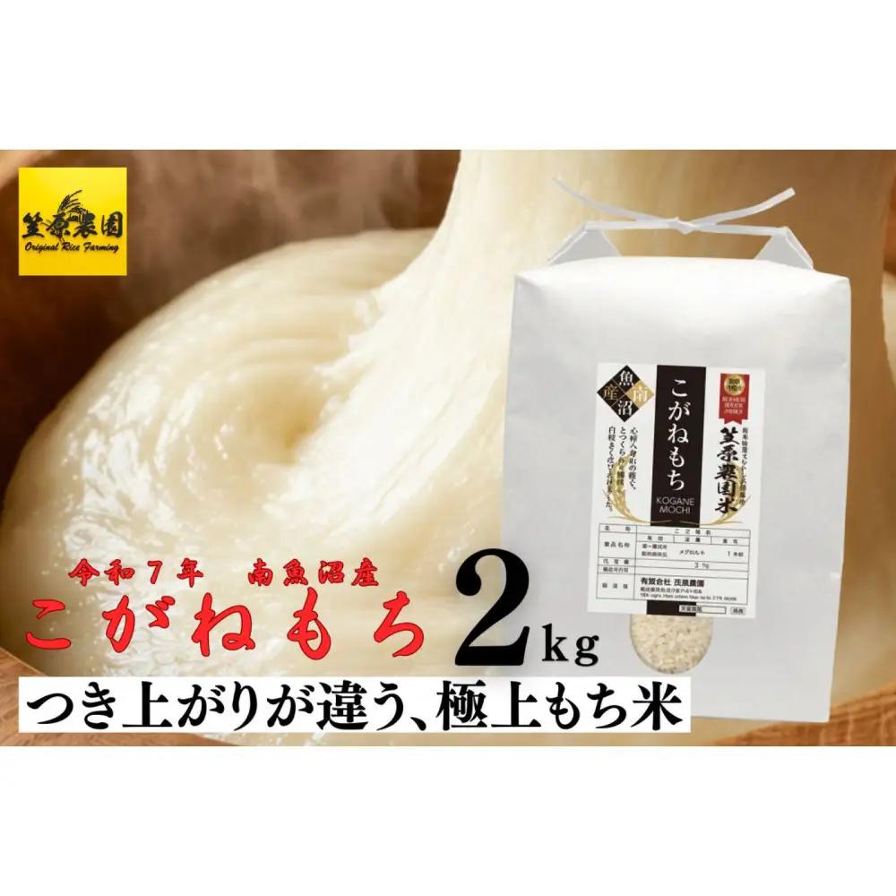 【令和７年産】南魚沼産 笠原農園米 こがねもち（もち米） 2kg 【銘柄米 精米 こがねもち 魚沼産 南魚沼産 プレミアム 新潟米 新潟県産 高評価 高品質 国産米 産直 ご飯 御飯 ごはん】