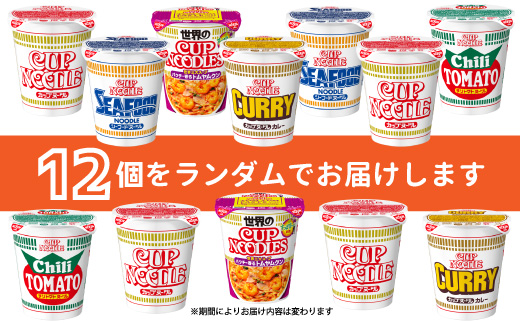 【05-05-C】「インスタントラーメン発祥の地・大阪池田」お手頃ハーフサイズセット