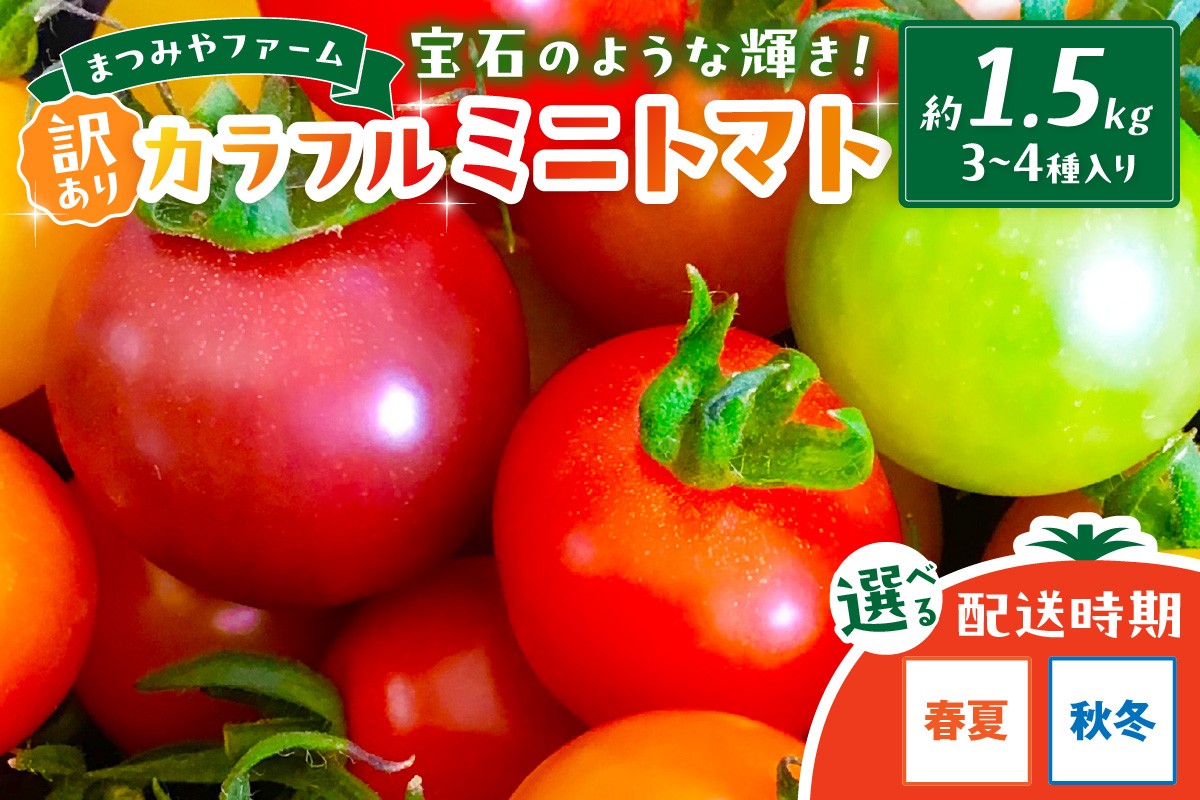 
                  【先行予約】訳あり 宝石のような輝き！カラフルミニトマト 約1.5kg（春夏）（秋冬）　MY00012・MY00004
                