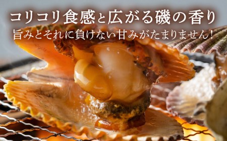 対馬 2枚貝 ヒオウギ 貝 2kg [WAD002] BBQ ひおうぎ貝 新鮮 浜焼き 貝類 