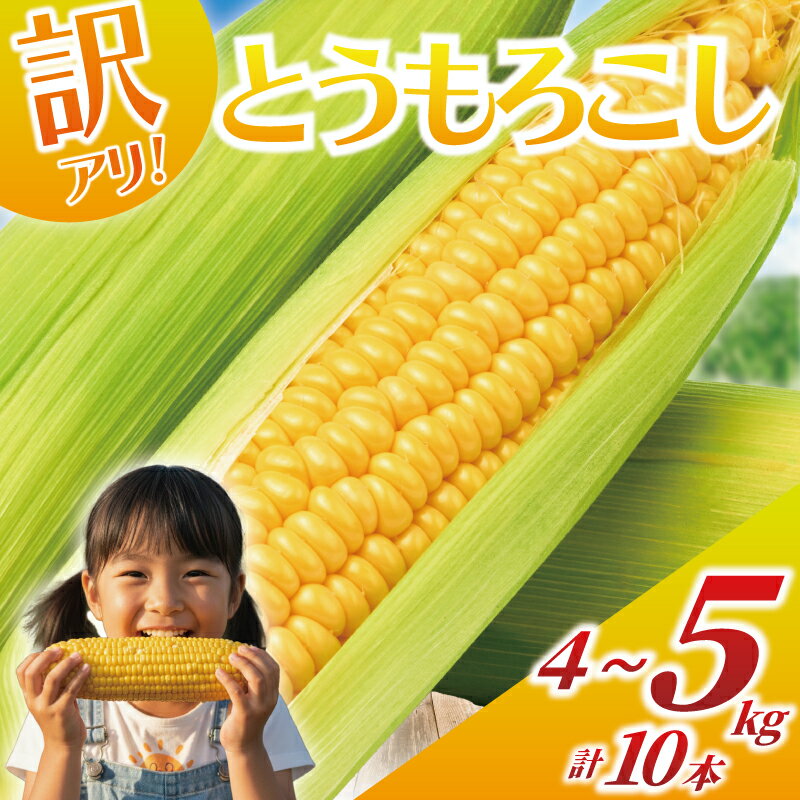 【ふるさと納税】 訳あり とうもろこし 計 10本 約 4 〜 5kg おまかせ 雪の妖精 ミルフィーユ 訳アリ 訳有 朝採り とれたて トウモロコシ 先行予約 2026年6月発送 コーン 新鮮 とうきび 国産 野菜 やさい 不揃い 数量限定 農家直送 産地直送 神奈川 湘南 藤沢 フロムベジ湘南