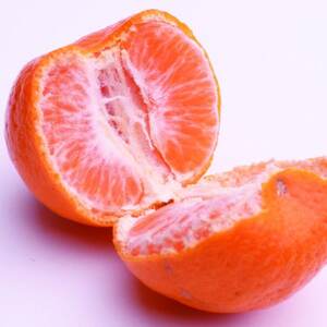 厳選 ポンカン1kg+250g(傷み補償分)【光センサー選果】【1644868】