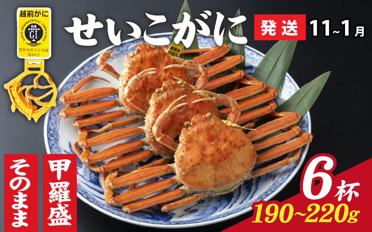
            【先行予約】選べる！美味しさ直送【成前特選】 せいこがに（190g～220g）×6杯【11月～1月発送】 [J-028054]
          