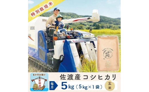 【令和8年産新米 6ヶ月】佐渡島産コシヒカリ 玄米 5kg 特別栽培米