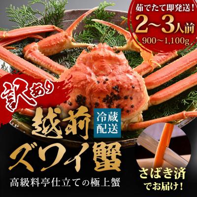 ふるさと納税 福井市 【1〜3月に発送】【捌き済で楽々】茹で越前がにズワイガニ大1杯(900〜1.1kg) 訳あり