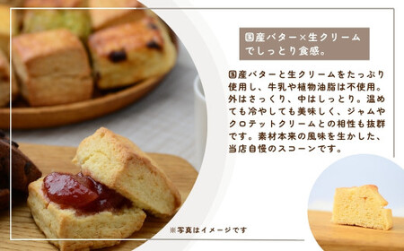 スコーン 生クリームとバターのプレミアムスコーン 6個セット 埼玉県 草加市
