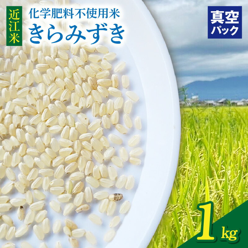 【ふるさと納税】近江米 1kg きらみずき 栽培期間中 化学肥料不使用 真空 梱包 こだわり 大粒 食感 甘さ 広がる ツヤ ふっくら 環境 米 お米 お取り寄せ 滋賀県 守山市 送料無料