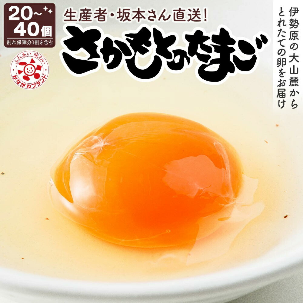 【ふるさと納税】坂本養鶏 大山の麓で育った さかもとのたまご [選べる数量： 20個から40個 (割れ保証含む)]｜伊勢原市 赤玉卵 玉子 鶏卵 生卵 国産 TKG タマゴ 新鮮 大山 鶏 ギフト 安心 安全 親子丼 卵焼き 目玉焼き お菓子 [1122-1124]
