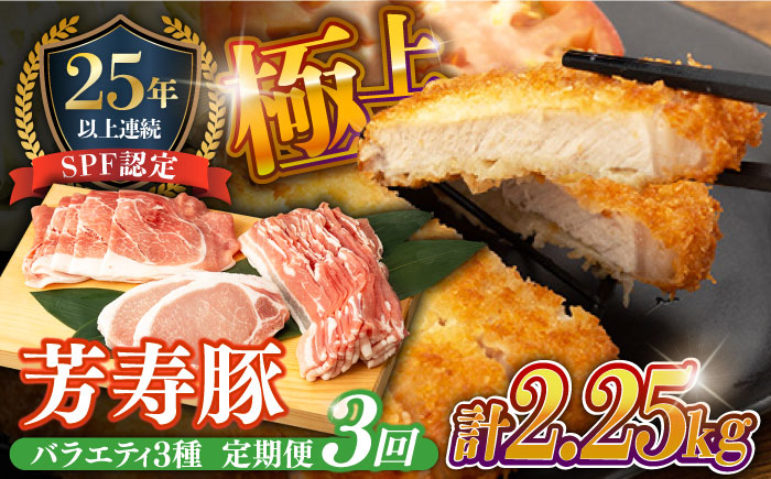 
                  【3回定期便】SPF豚 やっちゃおいしか芳寿豚バラエティセット 計750g / 豚肉 定期便 ほうじゅとん SPF豚 spfポーク 小分け バラ しゃぶしゃぶ / 南島原市 / 芳寿牧場 [SEI011]
                