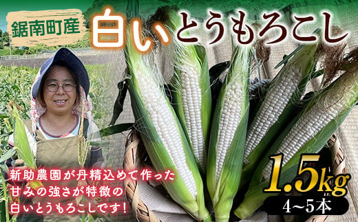 
            《先行予約》千葉県鋸南町産白いとうもろこし1.5kg（4～5本）（2025年6月下旬より発送予定） 糖度 生 野菜 産地直送 バーベキュー BBQ コーン 旬 ホワイト F22X-089
          