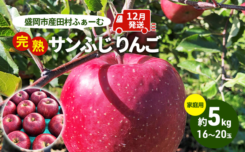 りんご 先行予約 家庭用 完熟 サンふじ 約 5kg (16～20玉) 田村ふぁーむ フルーツ 果物 冬 旬 旬のフルーツ 規格外 傷 不揃い 先行 予約 盛岡市産 林檎 リンゴ 岩手 岩手県 盛岡 盛岡市 12月発送　お届け：2025年12月1日～2025年12月25日