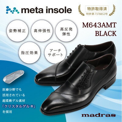 【ふるさと納税】『究極の履き心地』をご提供 metaインソール搭載紳士靴 ブラック 25.0cm M643AMT【1616573】