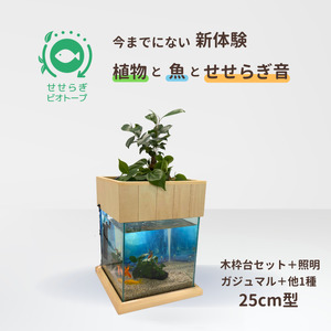 せせらぎビオトープ　25cm型照明+木枠台セット（ガジュマル＋他1種）