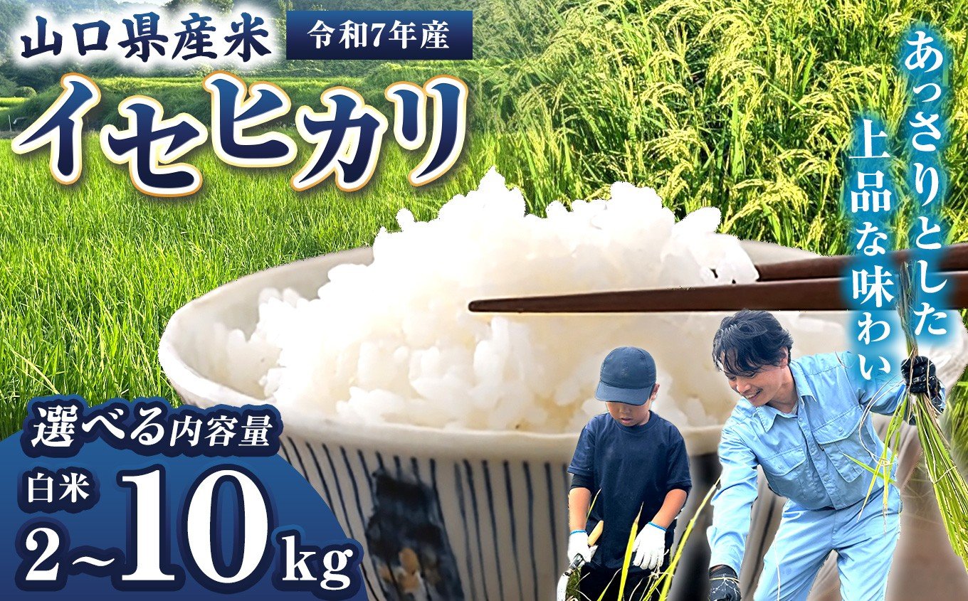 
            令和7年産 山口県産米 イセヒカリ（ 2kg ～ 10kg ）｜ 令和7年産 イセヒカリ 山口県産米 こめ お米 コメ 白米 山口県 平生町 2kg 5kg 10kg
          