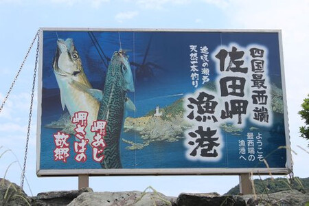 【数量限定】佐田岬海士のさざえ2kg ※北海道・東北地方・沖縄・離島への配送不可 【 さざえ サザエ 海鮮 貝 佐田岬 】 IKTJ003