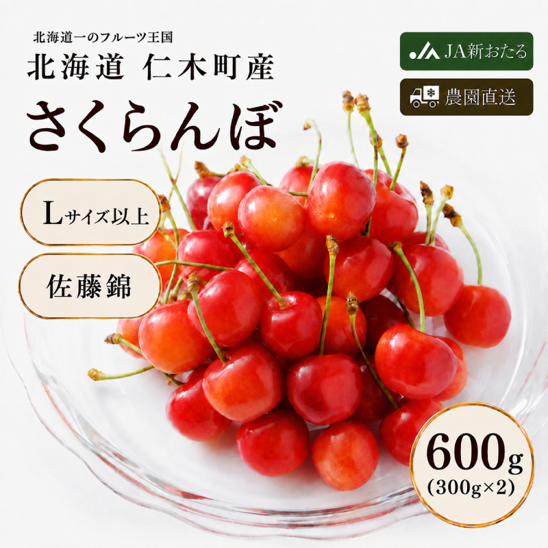 2027年発送 北海道 仁木町産  さくらんぼ 佐藤錦 600g（300g×2パック）Lサイズ以上 旬の果物 産地直送 サクランボ チェリー フルーツ 果物 果物類  仁木町 仁木 [JA新おたる]