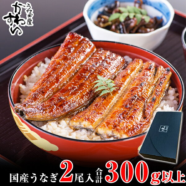 国産うなぎ蒲焼き大サイズ2本セット