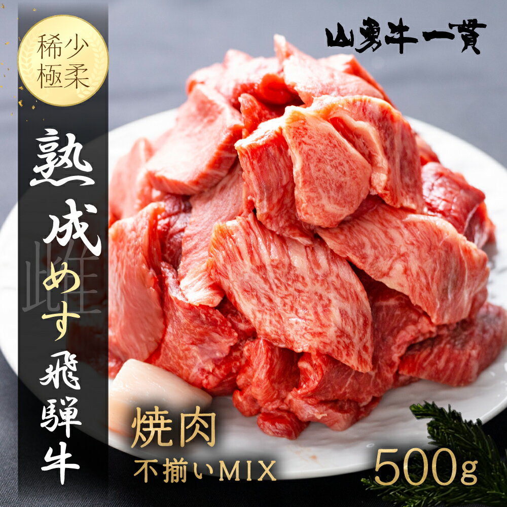 【ふるさと納税】焼肉 切り落とし 500g 飛騨の牧場で育った熟成飛騨牛『山勇牛』 A4 A5 切落し 訳あり 訳アリ わけあり ワケアリ 不揃い ミックス 牛肉 肉 和牛 国産 希少部位入り 飛騨牛 訳あり 岐阜県飛騨市