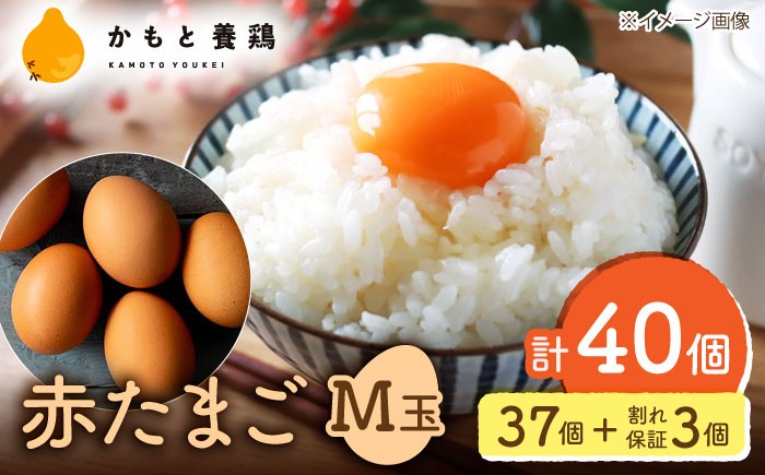 
                  【化粧箱入り】卵 赤たまご M玉 40個（37個＋3個割れ保証）【農事組合法人 鹿本養鶏組合】 [ZCA013] 贈答用 贈答  鶏卵 玉子 タマゴ たまごかけご飯 熊本県
                