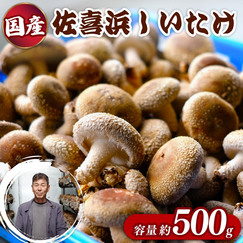 国産 佐喜浜しいたけ 約500g 椎茸 しいたけ 菌床 きのこ キノコ 調理 料理 ごはん ご飯 うまみ 6000円 高知県　nc002