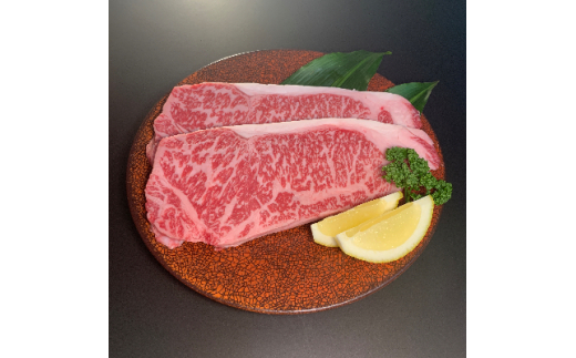 
＜博多和牛＞サーロインステーキ500g(250g×2枚)【1259479】
