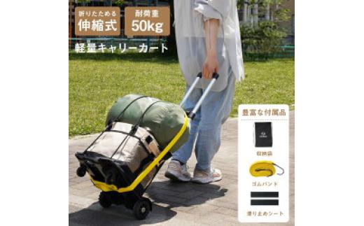 
                  ＼収納袋・ゴムバンド付／キャリーカート 折りたたみ 軽量 4輪 買い物 台車 軽量 コンパクト ミニ 軽量 キャリーカート キャンプ 買い物 おすすめ 防災 アウトドア 荷物 キャスター付き キャリー 折畳み 奈良県 奈良市 奈良
                