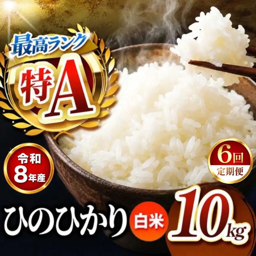 【 定期便 6回 】 R8年産熊本県産 白米 ひのひかり 10kg