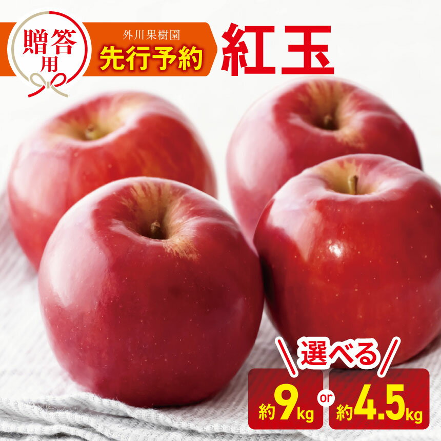 【ふるさと納税】*【2025年先行予約】 外川果樹園 贈答用 紅玉 約9kg 約4.5kg ｜ リンゴ りんご 林檎 果物 フルーツ 果実 果汁 紅玉 こうぎょく ギフト 贈答用 長野県 松川村 信州