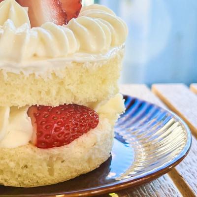 ふるさと納税 御代田町 【2026年発送】愛犬用 完熟いちごネイキッドケーキ Mサイズ 1個 |  | 01