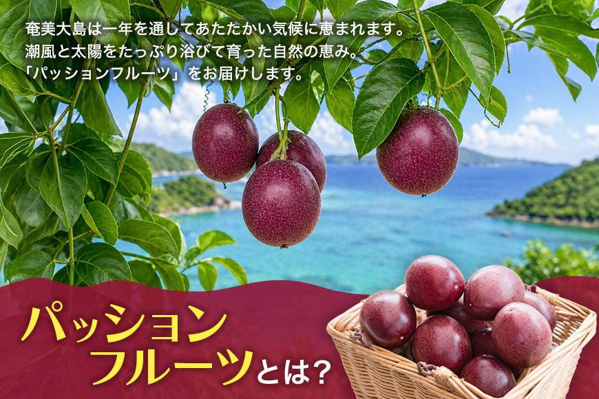 【2026年先行予約】《奄美大島産パッションフルーツ》家庭用2kg（24～30玉入り）　A145-006