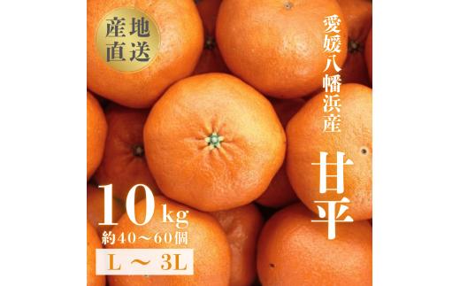 ＜愛媛が誇る 高級みかん 希少品種＞甘平 (かんぺい) 10kg＜H20-67＞【1620337】 YWTI062